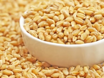 特产优联带皮小麦粒斤杂粮农家自产